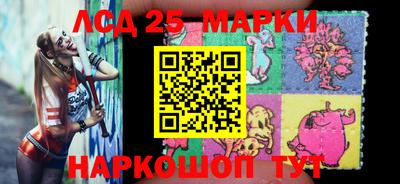 гашик Новодвинск