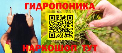 дурь Новозыбков
