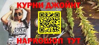 гашик Новодвинск