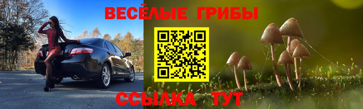 Галлюциногенные грибы GOLDEN TEACHER Северск